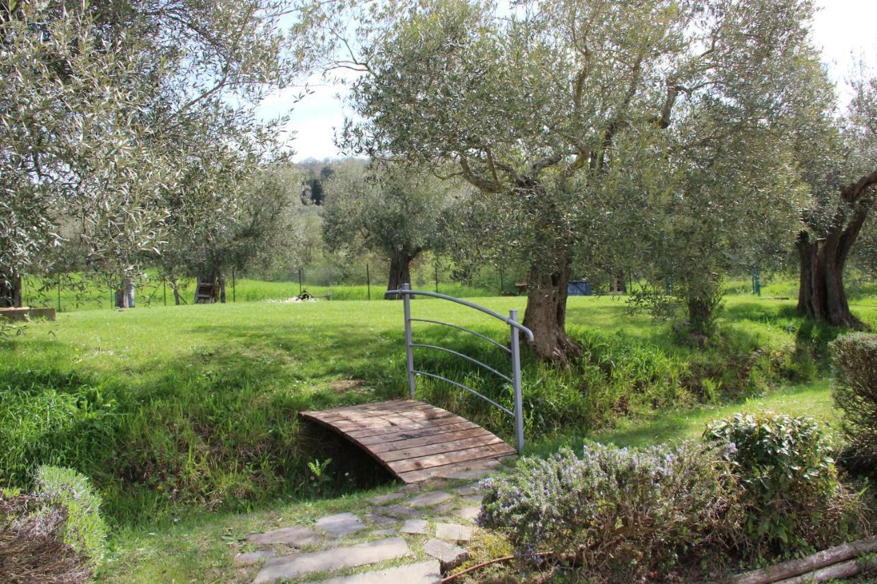 Hostal Le Coccole Del Trasimeno Tuoro sul Trasimeno Exterior foto
