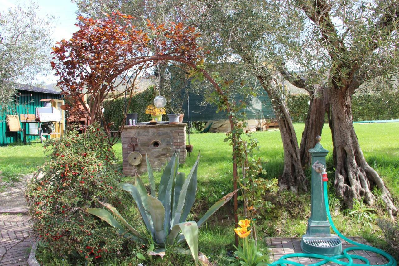 Hostal Le Coccole Del Trasimeno Tuoro sul Trasimeno Exterior foto