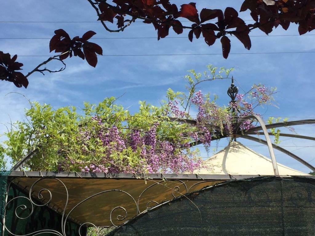 Hostal Le Coccole Del Trasimeno Tuoro sul Trasimeno Exterior foto