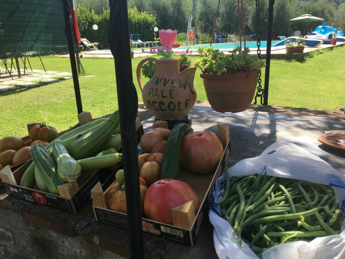 Hostal Le Coccole Del Trasimeno Tuoro sul Trasimeno Exterior foto