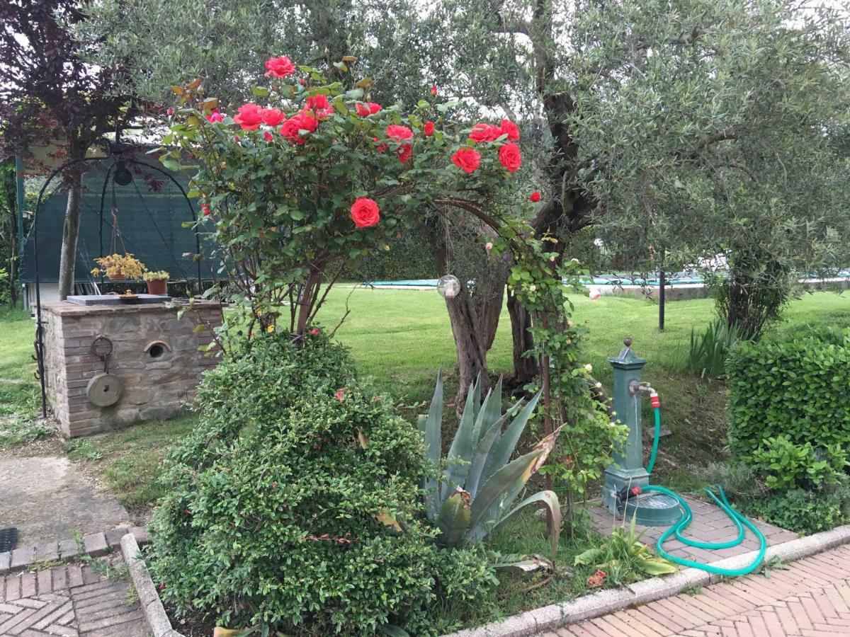 Hostal Le Coccole Del Trasimeno Tuoro sul Trasimeno Exterior foto