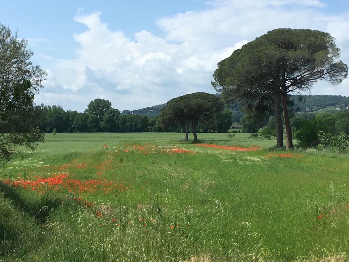 Hostal Le Coccole Del Trasimeno Tuoro sul Trasimeno Exterior foto